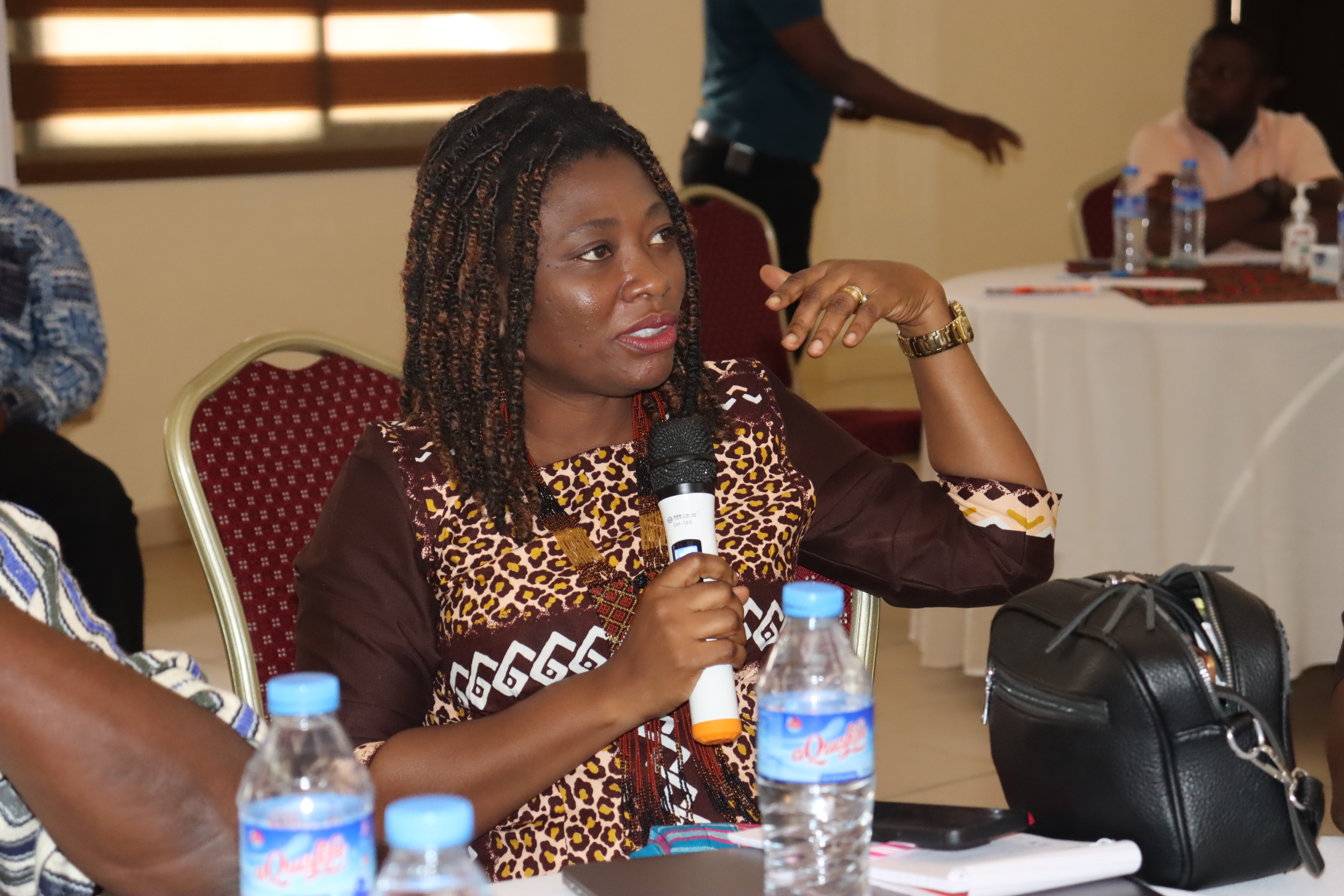 Prof. Mary Boatemaa Setrana