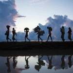 Migration